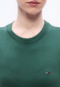 Άτομο που φοράει πράσινο πουλόβερ με στρογγυλή λαιμόκοψη, με ένα μικρό κόκκινο, λευκό και μπλε ορθογώνιο λογότυπο στο στήθος, εμφανιζόμενο από το λαιμό έως το πάνω μέρος του κορμού.