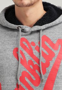 Graue Kapuzenjacke mit einem weichen, dunkelblauen Fleecefutter. Verfügt über einen großen roten Grafikdruck und eine Kordel mit Metallspitzen.