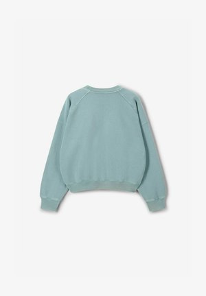 Mintgroen sweatshirt gemaakt van een zachte katoenmix, met een ronde hals, raglanmouwen en geribbelde manchetten en zoom. Achteraanzicht weergegeven.