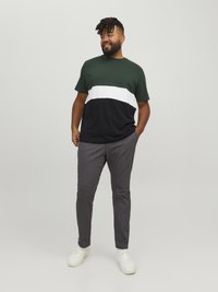 Jack & Jones JJEREID BLOCKING TEE - Apdrukāts T-krekls - mountain view