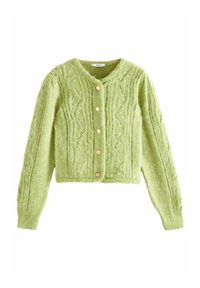 Světle zelený pletený kardigan s kabelovými vzory, dlouhými rukávy, kulatým výstřihem a pěti světle barevnými knoflíky vpředu.