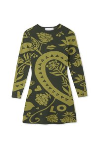 Zelené šaty s paisley vzorom v svetlejšej zelenej farbe. Dlhé rukávy, okrúhly výstrih a kvetinové motívy po celom odeve.