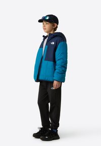 Μπουφάν με επένδυση σε μπλε και ναυτικό χρώμα, με φερμουάρ και κουκούλα, γκρι μπλούζα, μαύρο παντελόνι και μαύρα παπούτσια. Περιλαμβάνει λογότυπα North Face στα ρούχα.