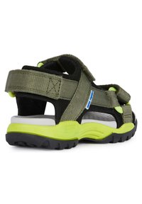 Geox J BOREALIS  - Sandalias de senderismo - military lime