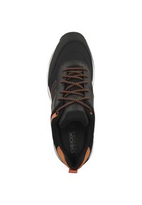 Geox Zapatillas - black