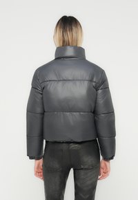 Grey puffer jacket with a high collar, short sleeves, and horizontal quilting. Smooth, shiny texture with elastic cuffs and hem.