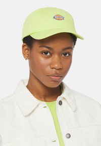 Dickies - HARDWICK UNISEX - Naģene - pale green Miniatūras attēls 1