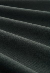 TOM TAILOR DENIM CREWNECK - Trui - dark gable green