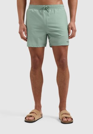 Light green swim shorts with an elastic waistband and drawstring. Smooth texture, knee-length, featuring a small brand logo on the side.