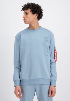 Sudadera de color azul claro con puños y dobladillo acanalados, que presenta un logo en relieve en la parte frontal y una etiqueta de tela roja en la manga. Material de suave mezcla de algodón.