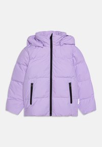 Wybrany, blooming lilac