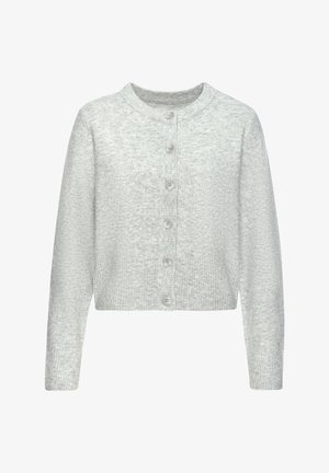 Hellgraue Strickjacke mit langen Ärmeln, rundem Ausschnitt, geripptem Saum und Bündchen sowie sechs passenden Knöpfen vorne.