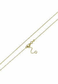 Goldene Kettenhalskette mit einem dünnen, filigranen Design, ausgestattet mit einem Karabinerverschluss und einer verstellbaren Länge mit einer Verlängerungskette.