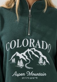 Pullover in pile verde scuro con zip a quarti. Presenta il testo bianco "COLORADO", grafiche montane e "Aspen Mountain" in basso.