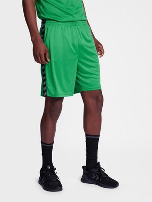 Persoon draagt felgroene sportshorts met zwarte chevronstrepen, zwarte sportsokken en zwarte sportschoenen op een witte achtergrond.