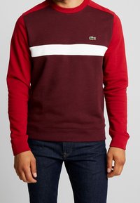 Uomo che indossa un sweatshirt a manica lunga bordeaux e rossa con una striscia orizzontale bianca e un piccolo logo di coccodrillo verde sul petto.