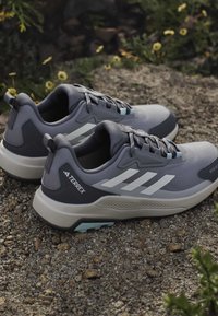 Paire de chaussures de trail Adidas Terrex grises avec des bandes blanches sur un sol en gravier avec de petites fleurs jaunes autour.