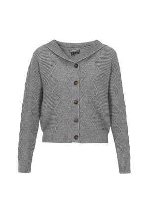 DreiMaster, DREIMASTER CARDIGAN - Gilet - grey melange