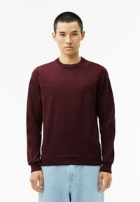 Maglione bordeaux con scollatura rotonda, maniche lunghe, polsini e orlo a costine. Piccolo logo sul lato sinistro del petto. Tessuto morbido, vestibilità comoda.