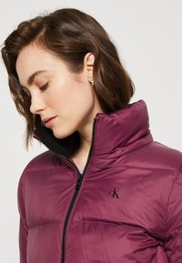 Calvin Klein Jeans ARCHETYPE SHORT PUFFER - Dūnu jaka - amaranth