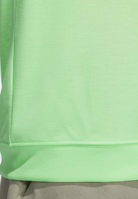 Felpa verde chiaro realizzata in tessuto morbido, con una texture liscia e una vestibilità rilassata. Cuciture a vista e un design semplice.