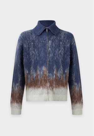 Feng Chen Wang, CARDIGAN - Жилетка - blue/brown