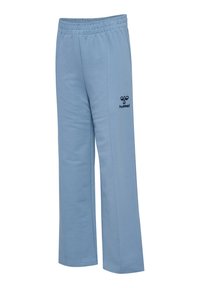 Hellblaue Baumwoll-Sweatpants mit einem elastischen Bund. Mit einem schwarzen Logo auf dem linken Oberschenkel und geraden Beinen. Glatte Textur.