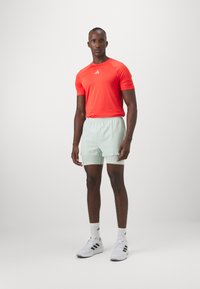 Sarkana sportaT-krekls ar īsām piedurknēm, pārī ar gaiši mentolu zaļām šortiem. Baltas sporta apavu ar melniem akcentiem un baltas zeķes.