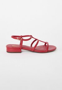Friends Like These REGULAR FIT - LOW BLOCK CAGED - Sandaalid - red