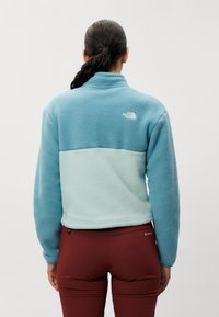 The North Face YUMIORI ¼ ZIP - Flísová bunda - muted pine/algae blue