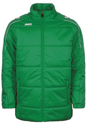 Winter jacket - multicolor