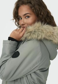 Veste grise matelassée avec une bordure en fausse fourrure pour la capuche, des poignets côtelés et un écusson de marque sur la manche. Texture lisse et design décontracté.