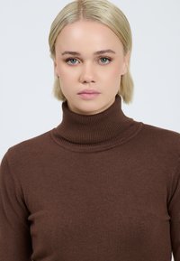 Brauner Rollkragenpullover aus einem weichen, gerippten Strickstoff, mit hohem Kragen und figurbetontem Schnitt, glatt in der Textur und gleichmäßiger Nahtverarbeitung.