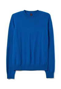Suéter de cuello redondo azul hecho de un material suave. Presenta mangas largas y puños y dobladillo acanalados. Textura lisa sin patrones ni acentos visibles.