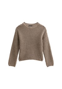 Brązowy sweter dziany z teksturowanym wzorem, okrągłym dekoltem i długimi rękawami. Materiał wydaje się miękki i gruby, z prążkowanymi rękawami.