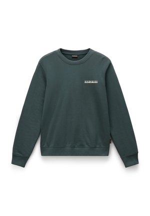 Green cotton sweatshirt with long sleeves, ribbed crew neck, and hem. Features a small logo patch on the front. Smooth texture.