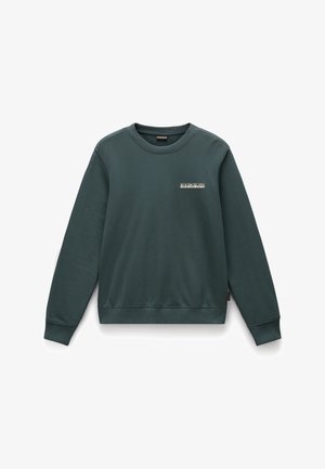 Grüner Baumwoll-Sweatshirt mit langen Ärmeln, geripptem Rundhalsausschnitt und Saum. Enthält ein kleines Logopatch auf der Vorderseite. Glatte Textur.