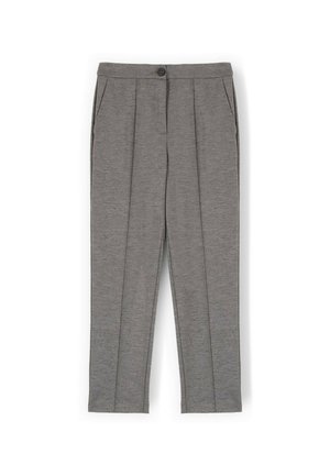 Grijze, geplooide broek met zijzakken, een knoopsluiting aan de voorkant en een gestructureerde stof. Gepersonaliseerd ontwerp met een rechte pasvorm.