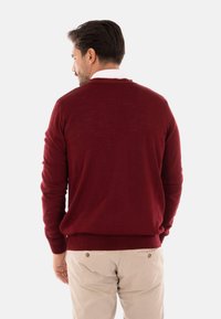 Maglione lavorato a maglia marrone con maniche lunghe, scollo rotondo e polsini a coste. Indossato sopra una camicia bianca con colletto, abbinato a pantaloni beige chiaro.