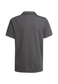 Graues Poloshirt mit einem Kragen, kurzen Ärmeln, glatter Textur und geradem Saum. Einfaches Design, ohne sichtbare Muster oder Akzente.