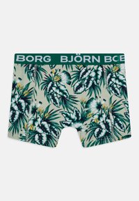 Björn Borg 5 PACK - Hlačke - green/teal/olive
