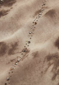 Next NEUTRAL SHEER EMBELLISHED - REGULAR FIT - Blūze - brown tie dye