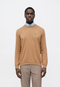 Rjavi pleteni pulover z okrolim ovratnikom in zelenim logotipom Lacoste. Nošen čez svetlo modro srajco z ovratnikom in kombiniran s bež hlačami.