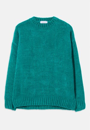 CHENILLE CREWNECK SWEATER UNISEX - Jumper - green