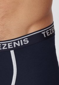 Tezenis Boxer Briefs - Blue