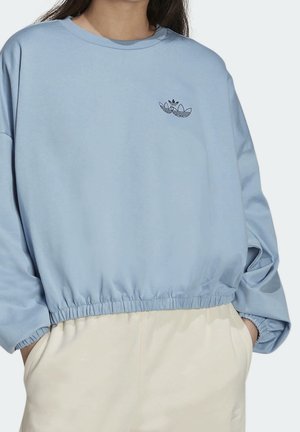 Sweatshirt - blue