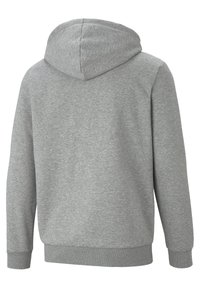 Felpa grigia in cotone con una consistenza morbida, dotata di un ampio cappuccio, polsini e orlo a costine. Design semplice e privo di decorazioni con una vestibilità rilassata.