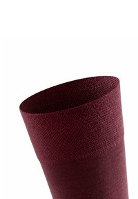 FALKE SENSITIVE BERLIN - Calze - barolo