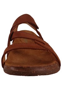 El Naturalista Mules - wood