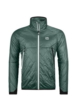 SWISSWOOL PIZ VIAL - Daunenjacke - arctic grey